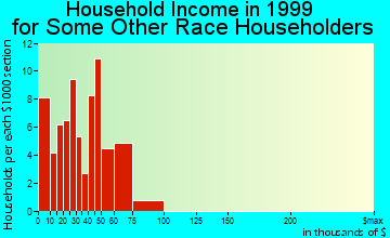 Bossier City household income for some other race householders
