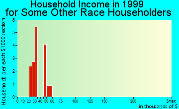 Bridge City household income for some other race householders