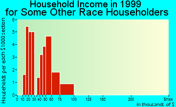 Florence household income for some other race householders