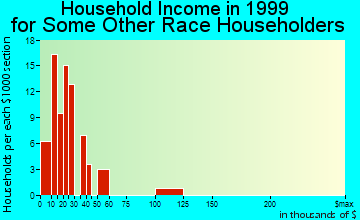 Flowing Wells household income for some other race householders