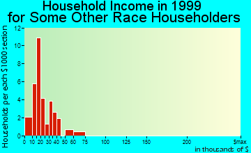 Gadsden household income for some other race householders
