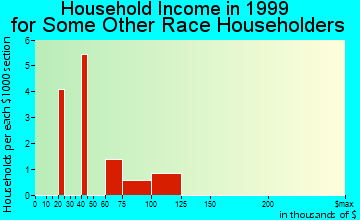 Grand Canyon Village household income for some other race householders