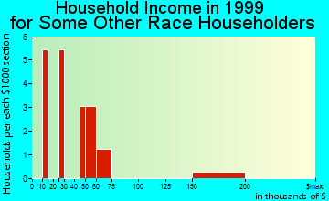 Natchitoches household income for some other race householders