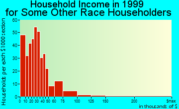 New Orleans household income for some other race householders