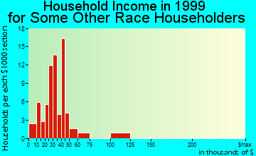 Lake Havasu City household income for some other race householders