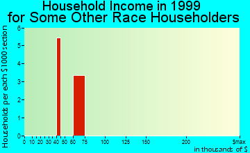 Accokeek household income for some other race householders