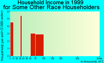 Burtonsville household income for some other race householders