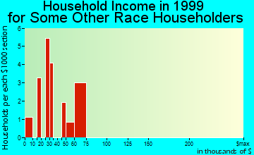 Maricopa household income for some other race householders
