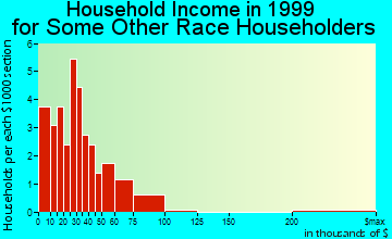 Miami household income for some other race householders