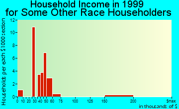 College Park household income for some other race householders