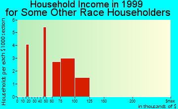 Damascus household income for some other race householders