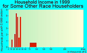 Fort Meade household income for some other race householders