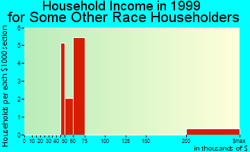 Fort Washington household income for some other race householders
