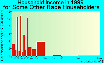 Hyattsville household income for some other race householders
