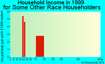 Paradise Valley household income for some other race householders