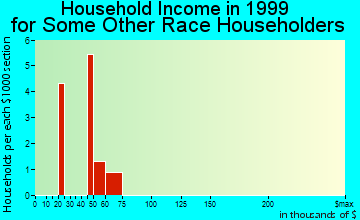 Bridgewater household income for some other race householders