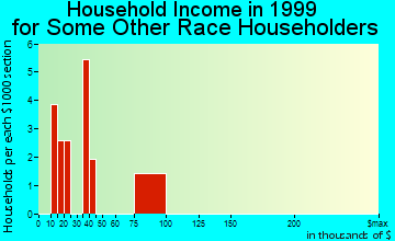 Holbrook household income for some other race householders