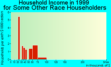 Hudson household income for some other race householders