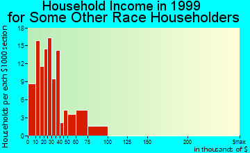 Leominster household income for some other race householders