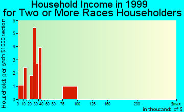 Plymouth household income for two or more races householders