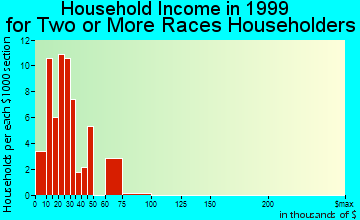West Springfield household income for two or more races householders