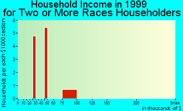 Brighton household income for two or more races householders