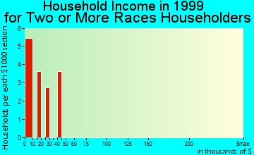 Buena Vista household income for two or more races householders