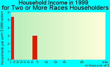 Davison household income for two or more races householders