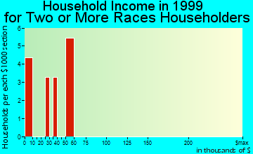 Decatur household income for two or more races householders