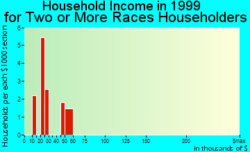 Show Low household income for two or more races householders
