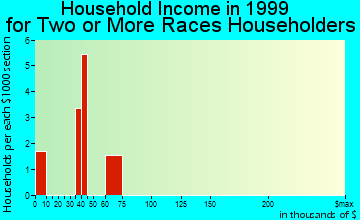 Fenton household income for two or more races householders