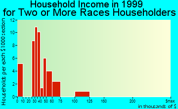 Ferndale household income for two or more races householders