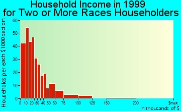 Flint household income for two or more races householders