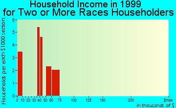 Flushing household income for two or more races householders