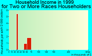 Garden household income for two or more races householders