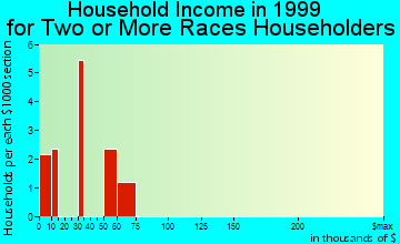 Grand Haven household income for two or more races householders