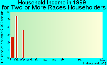 Litchfield household income for two or more races householders