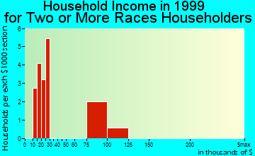 Plymouth Township household income for two or more races householders