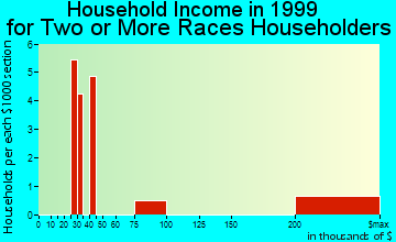 Riverview household income for two or more races householders