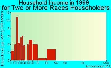 St. Clair Shores household income for two or more races householders