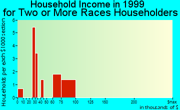 Saline household income for two or more races householders