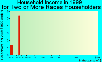 Stambaugh household income for two or more races householders