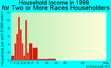 Brooklyn Center household income for two or more races householders