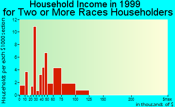 Burnsville household income for two or more races householders