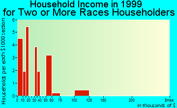 Faribault household income for two or more races householders