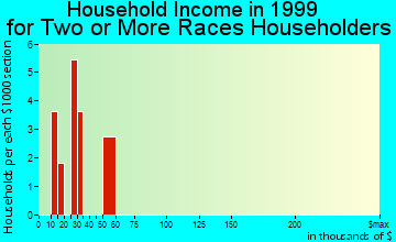 Bunker household income for two or more races householders