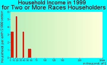 Farmington household income for two or more races householders