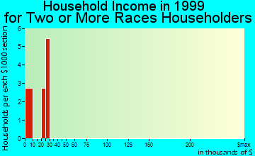 Ironton household income for two or more races householders