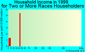 Niangua household income for two or more races householders