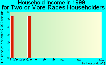 Village of Four Seasons household income for two or more races householders